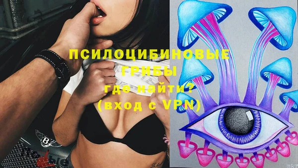стафф Михайловка