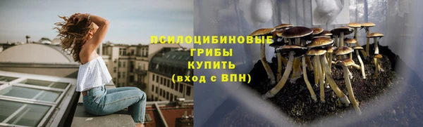 соль курить ск Арсеньев