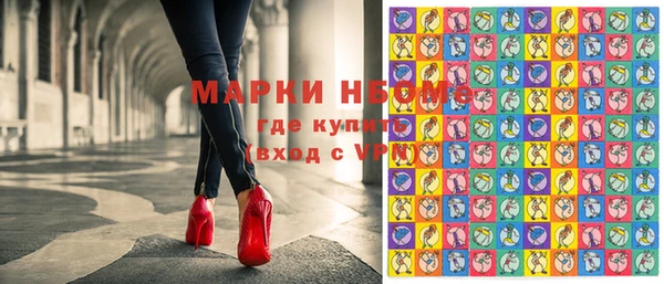 ешки Аркадак