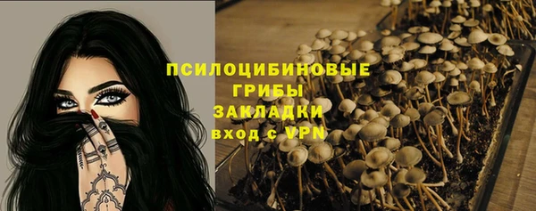 ешки Аркадак