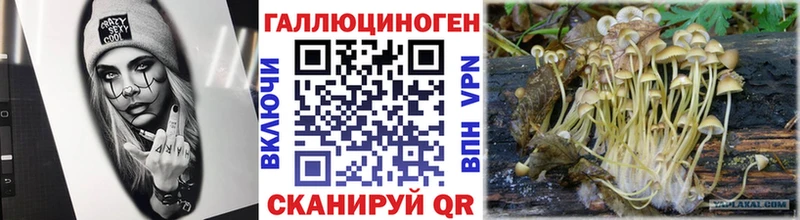 Галлюциногенные грибы GOLDEN TEACHER  купить   Озёрск 